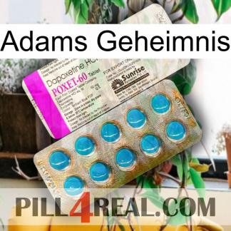 Adams Secret new07
